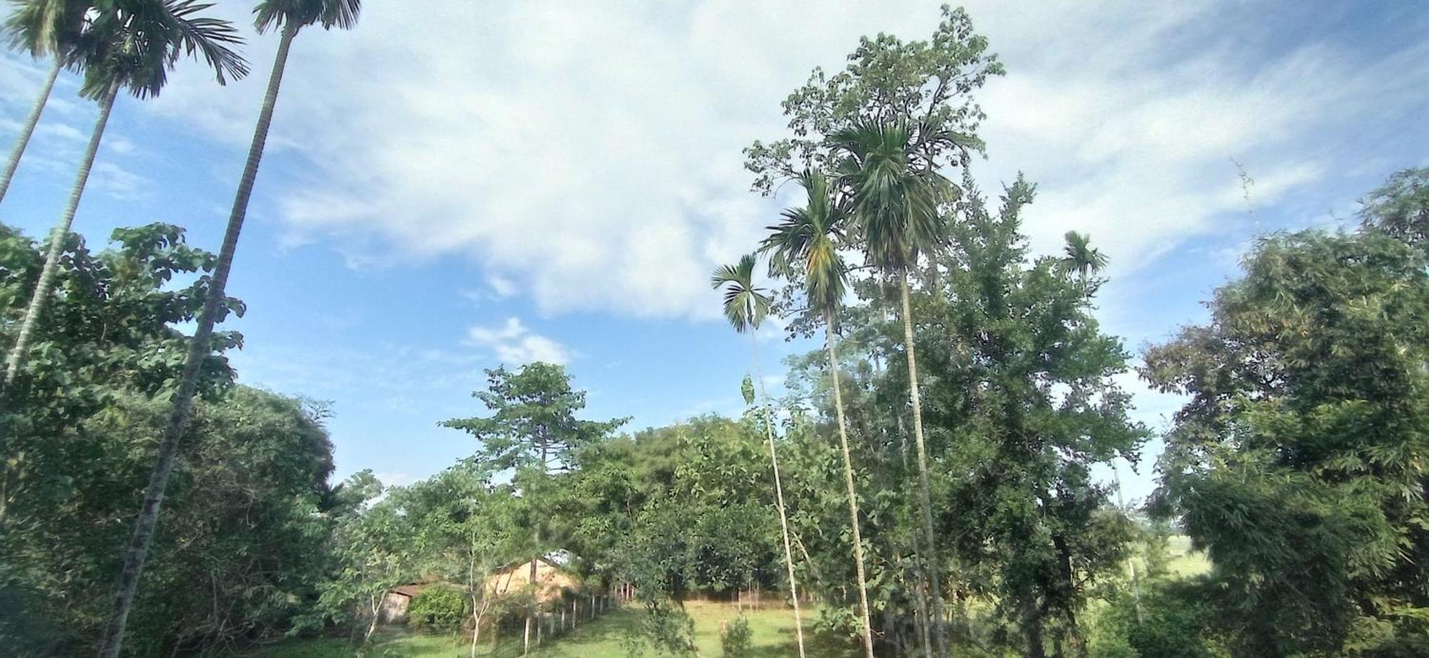 Hotel Kaziranga Holidays Exterior photo